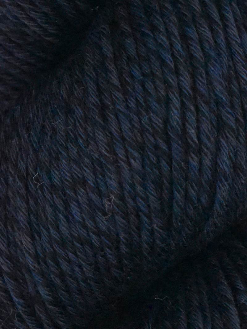 Araucania Alga and Alga Solids