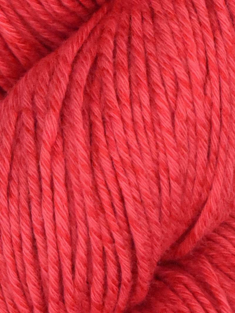 Araucania Alga and Alga Solids