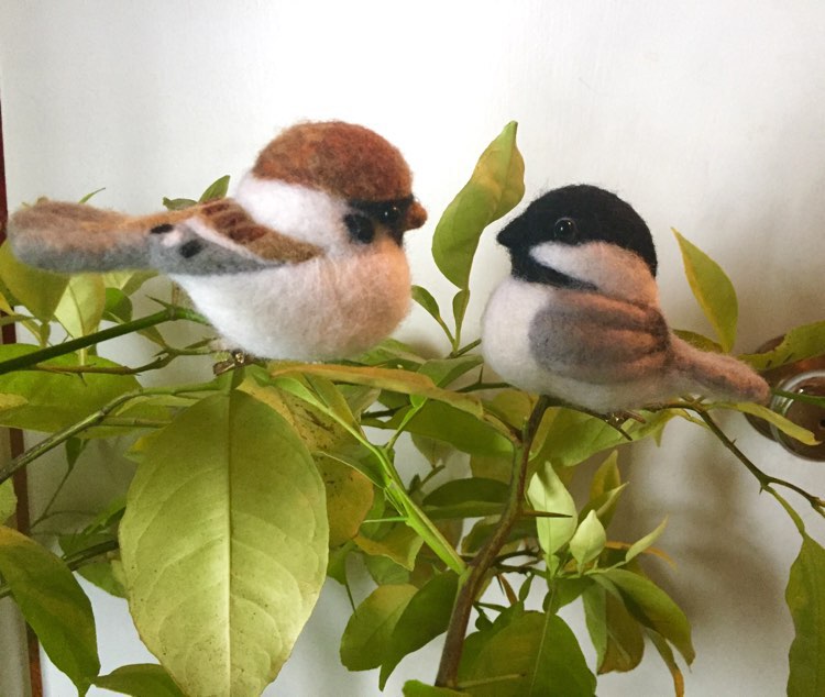 Needle felt a Bird: A Workshop with Lori St. Clair