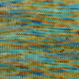 Berroco Vintage Sock Handpaint