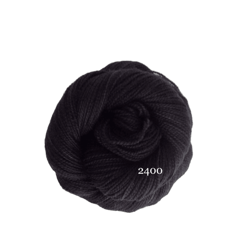 100g Koigu KPM