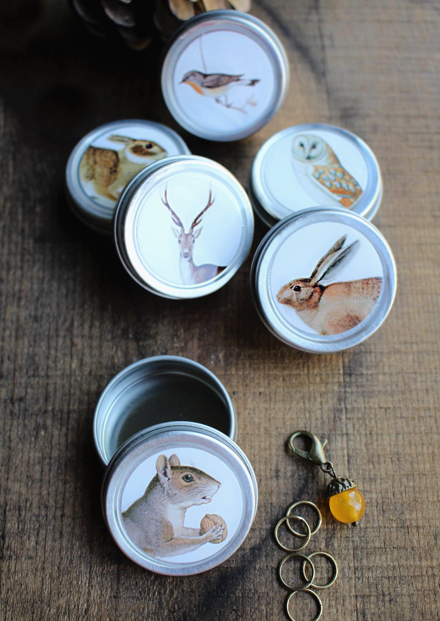 Forest Friends Mini Tin