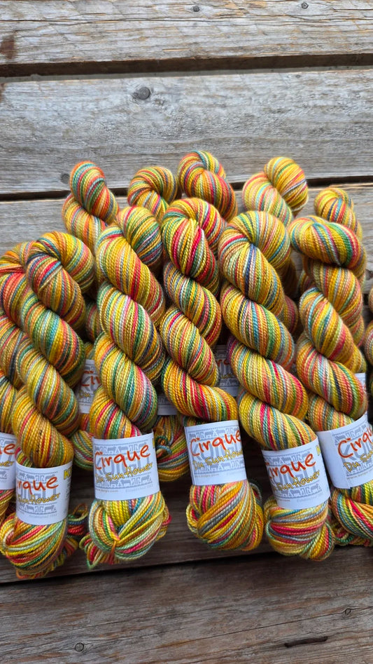 Koigu Collector's Colourway