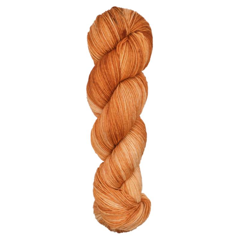 Araucania Huasco Sock Twilight Paints