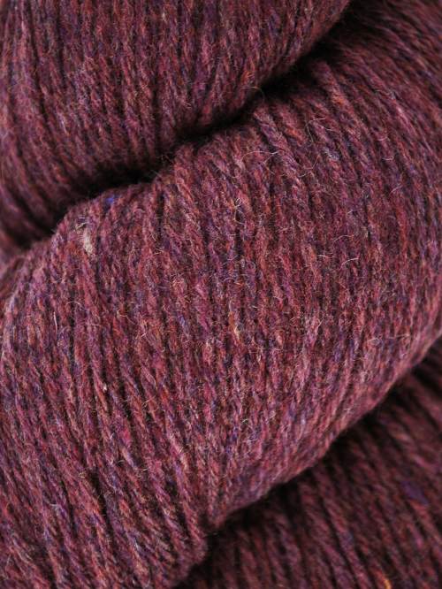 Queensland Tenderfoot