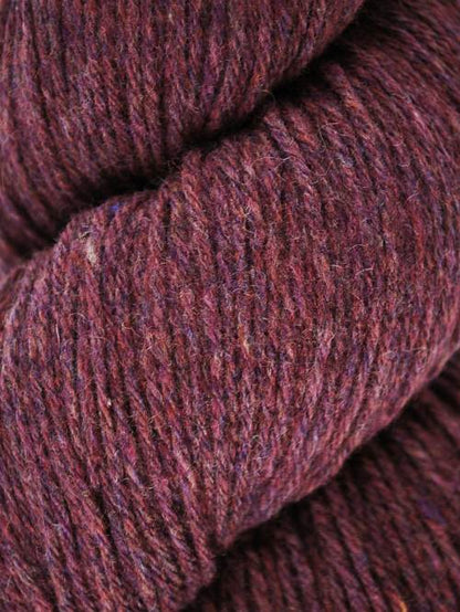 Queensland Tenderfoot
