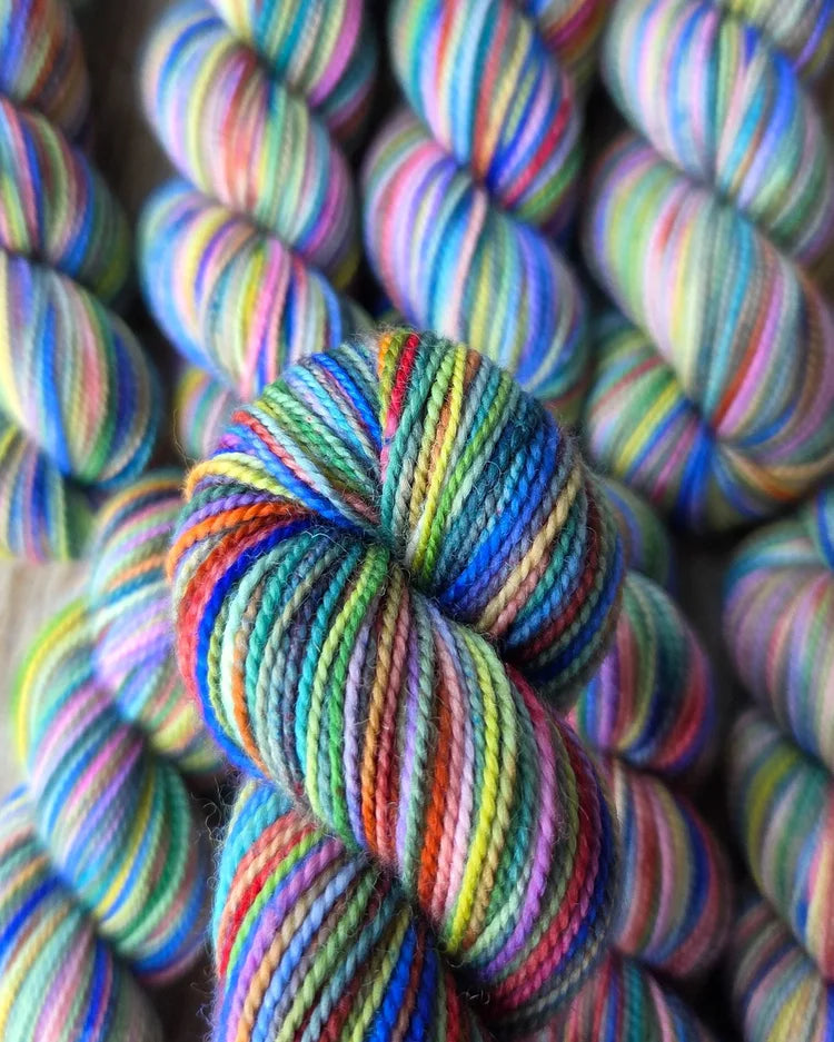 Koigu Collector's Colourway
