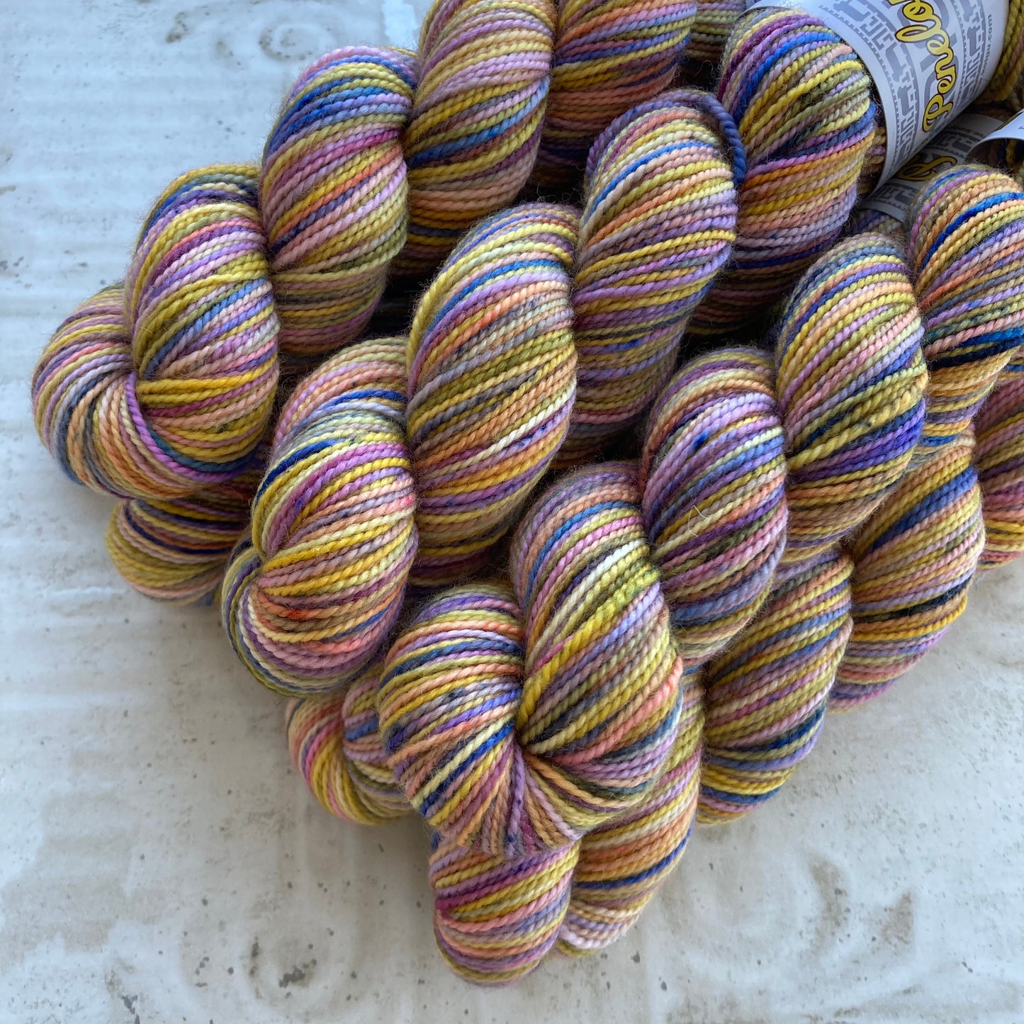 Koigu Collector's Colourway