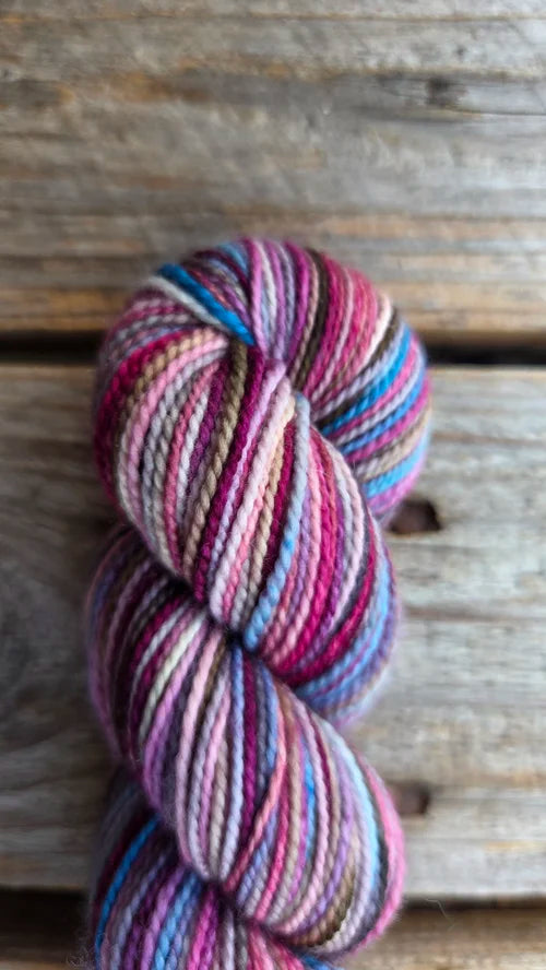 Koigu Collector's Colourway