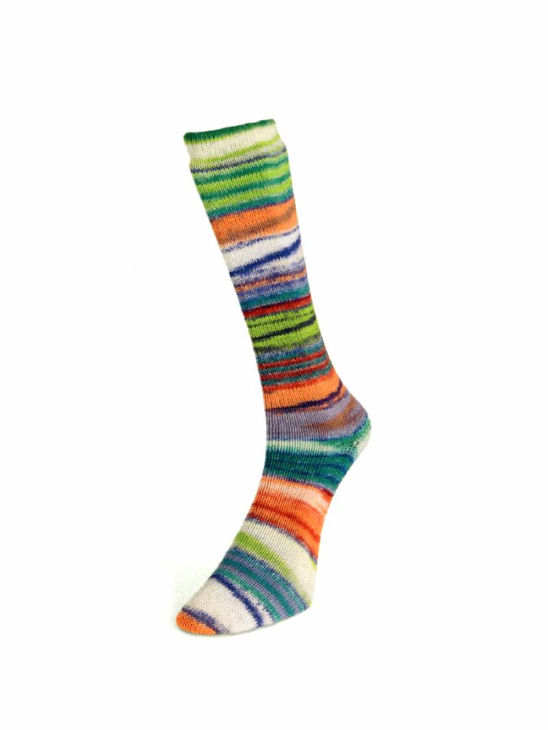 Laines du Nord Eclectic Sock