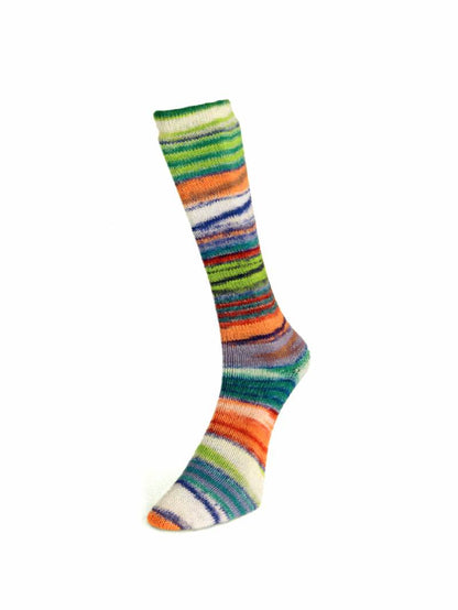 Laines du Nord Eclectic Sock