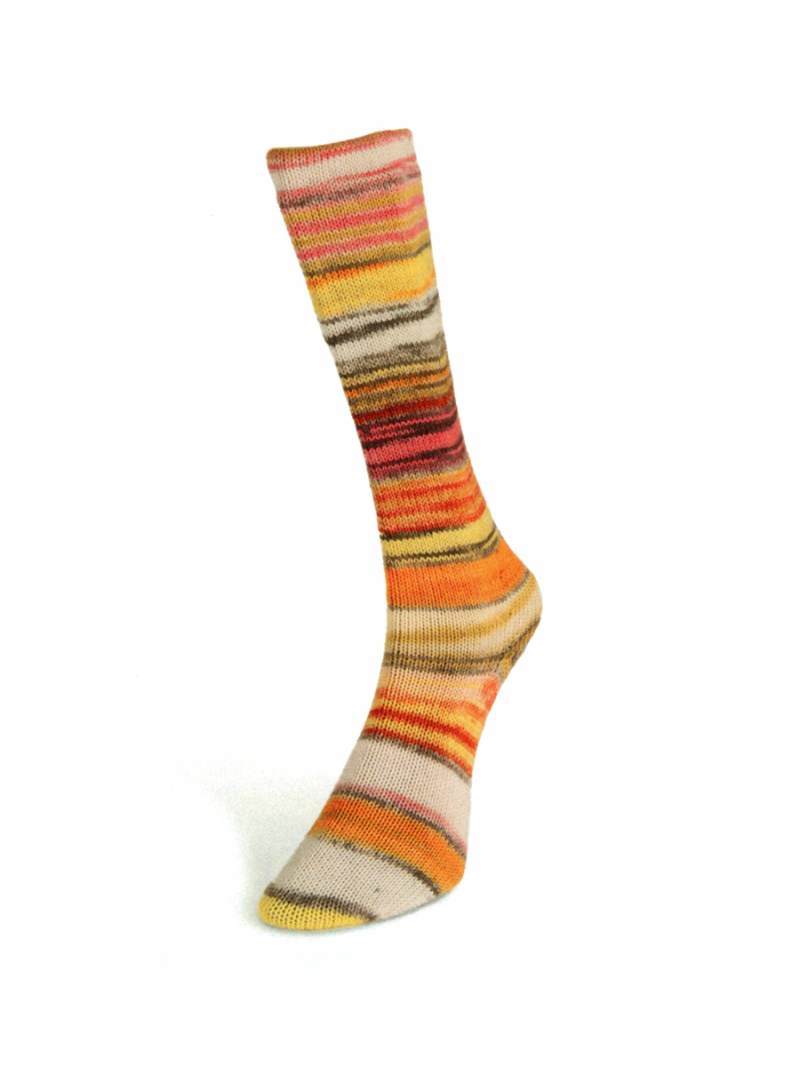 Laines du Nord Eclectic Sock