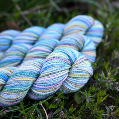 Koigu Collector's Colourway