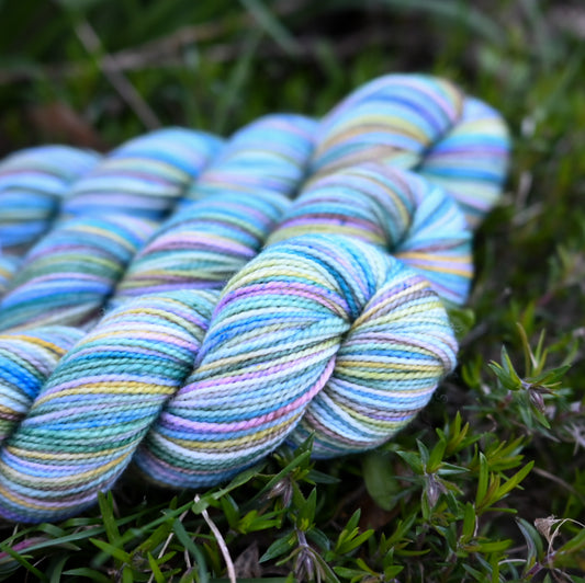 Koigu Collector's Colourway