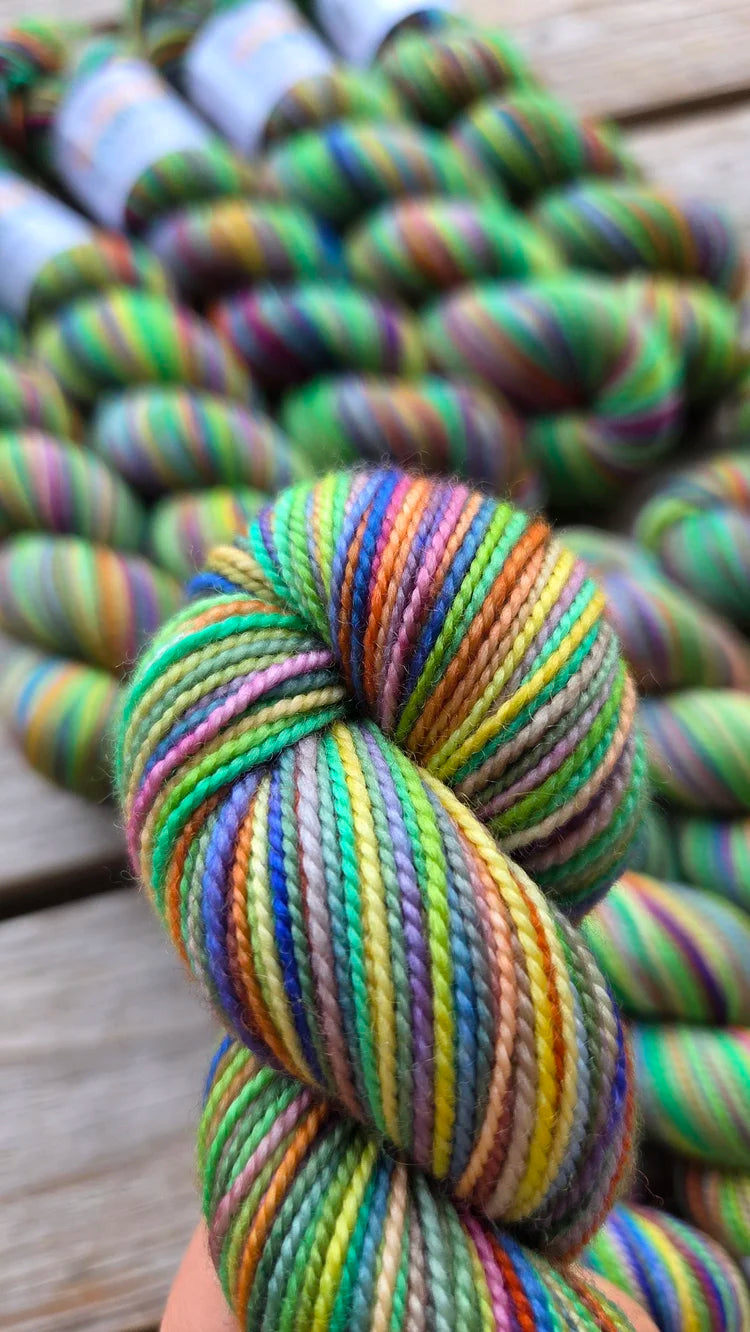 Koigu Collector's Colourway