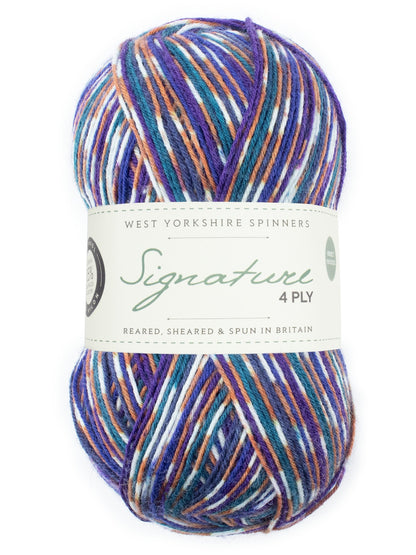 West Yorkshire Spinners Signature 4 Ply - Bird Collection