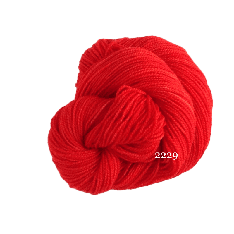 Koigu KPM